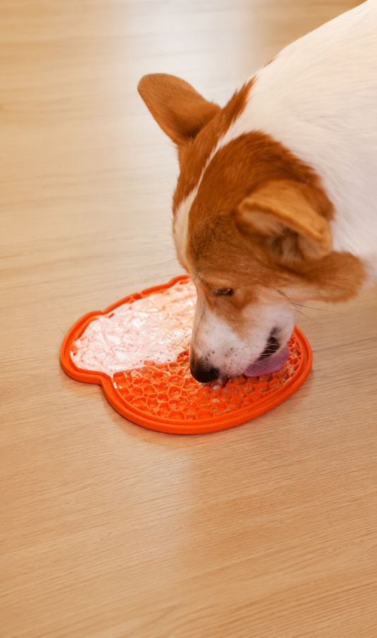 PawLick™ Slow Feeder & Lick Mat for Dogs | PawCraft