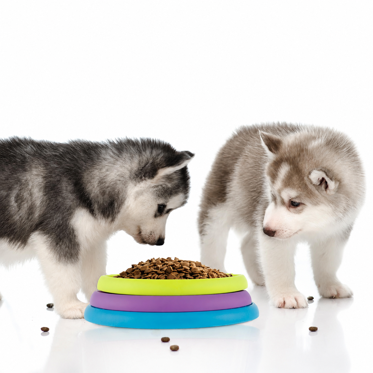 PawFeast™ Interactive Slow Feeder Bowl for Dogs | PawCraft